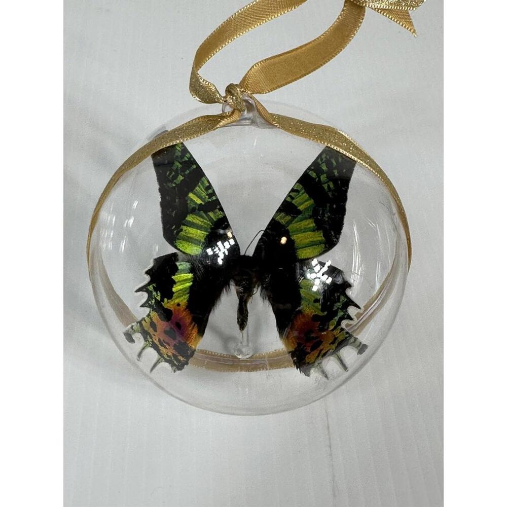 Butterfly Urania Riphius Inside Plastic Ornament Vintage Made in Sweden Plastic
